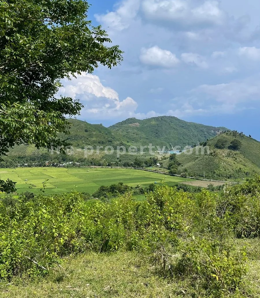 Land for Sale with Stunning Ocean View in Mawun, Kuta Mandalika