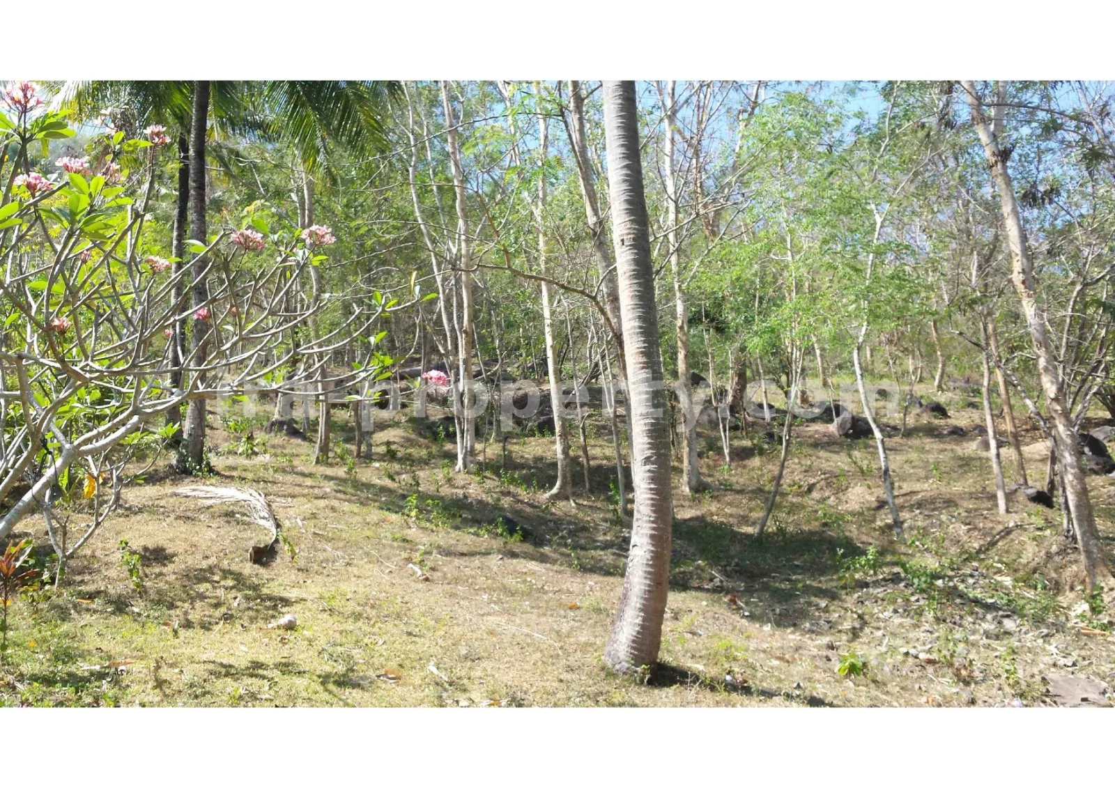Beach View Land for Sale in Kerandangan, West Lombok