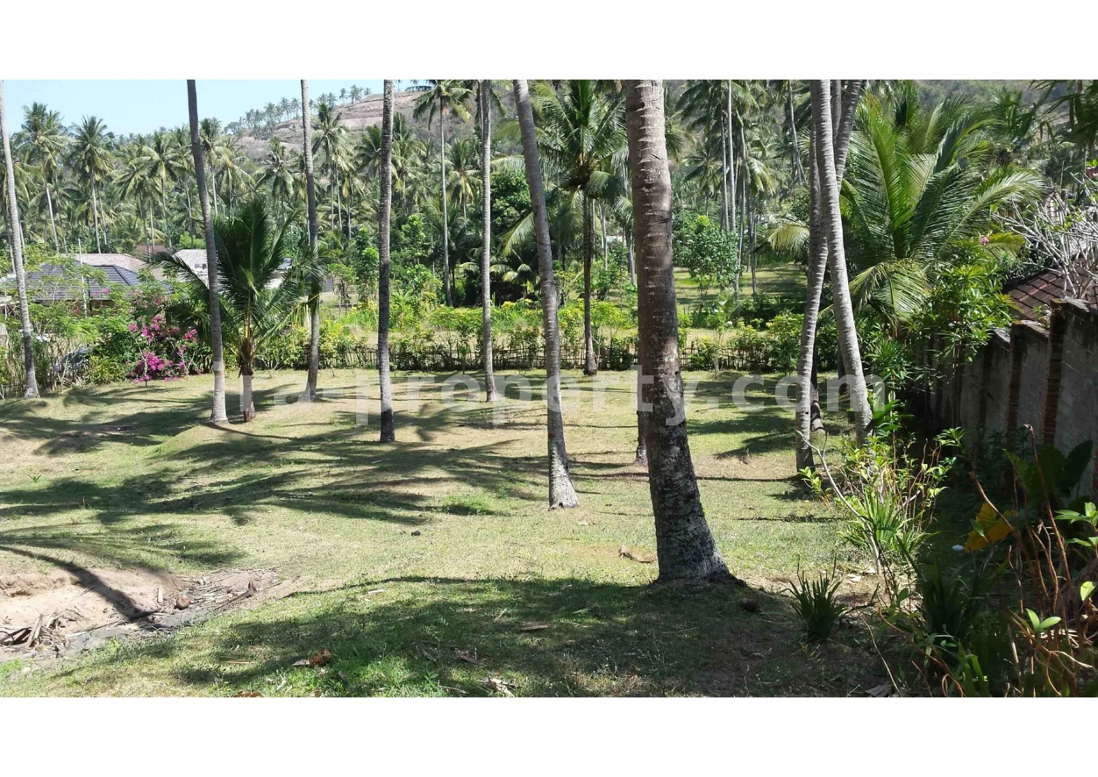 Beach View Land for Sale in Kerandangan, West Lombok