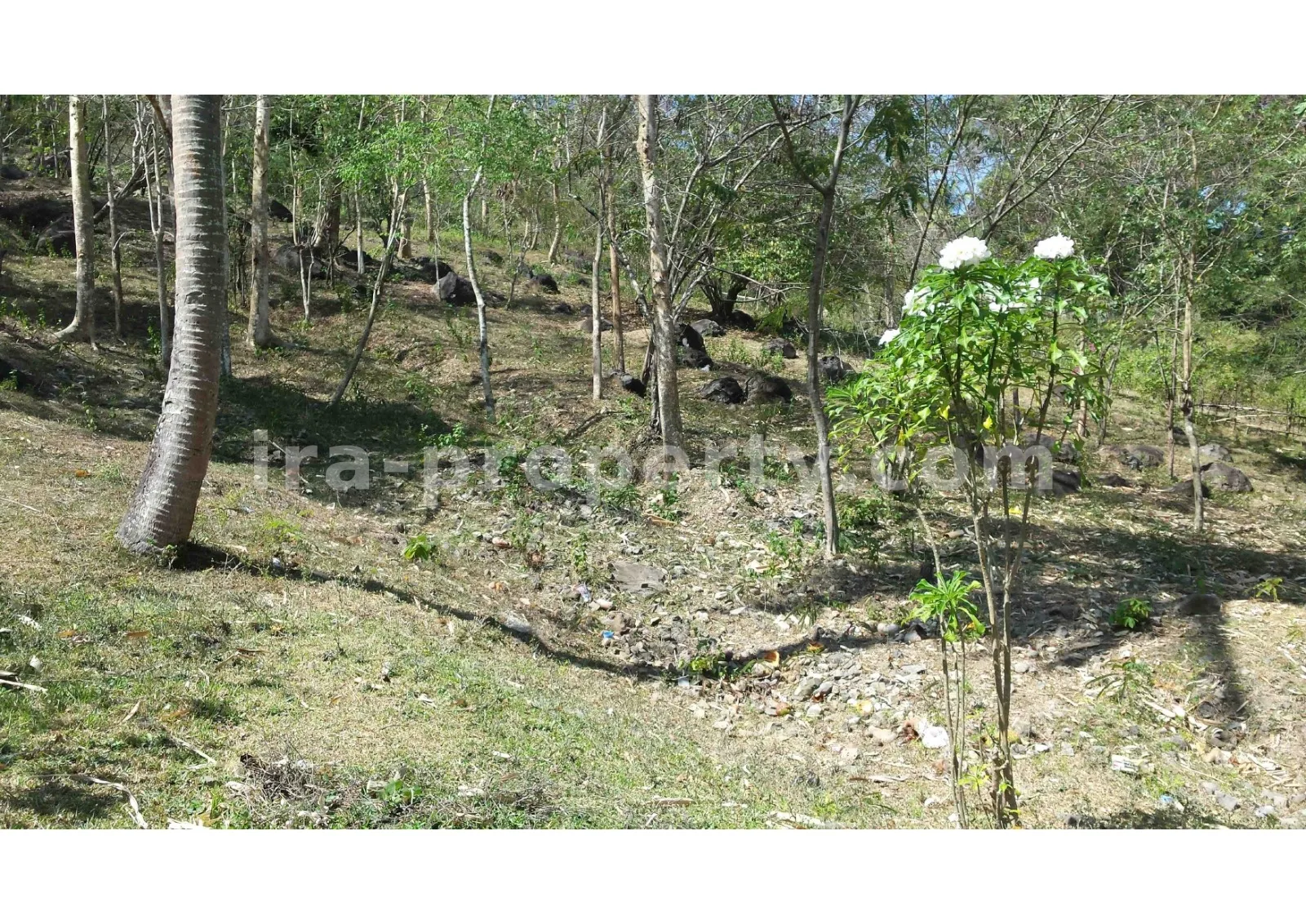 Beach View Land for Sale in Kerandangan, West Lombok