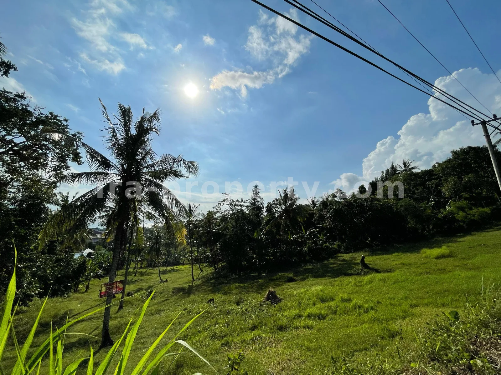 Seaside Land for Sale in Melase, Batu Layar, West Lombok