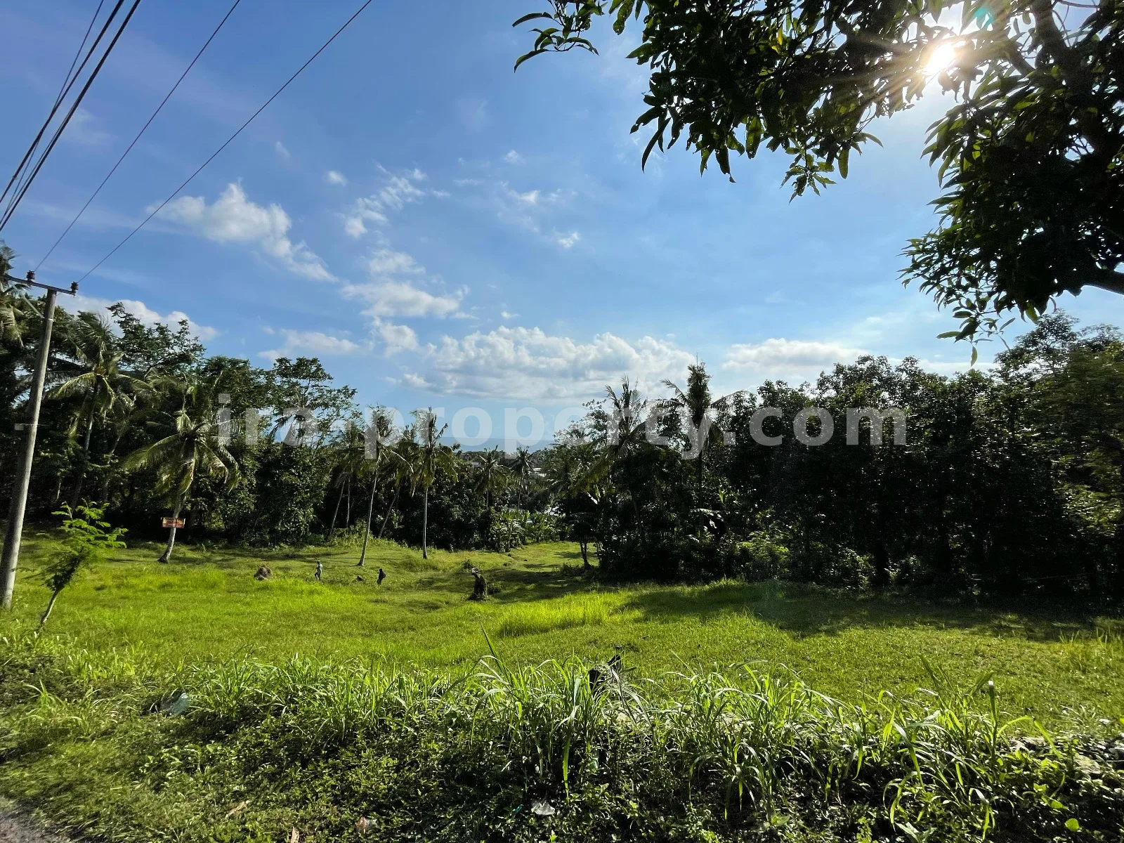 Seaside Land for Sale in Melase, Batu Layar, West Lombok