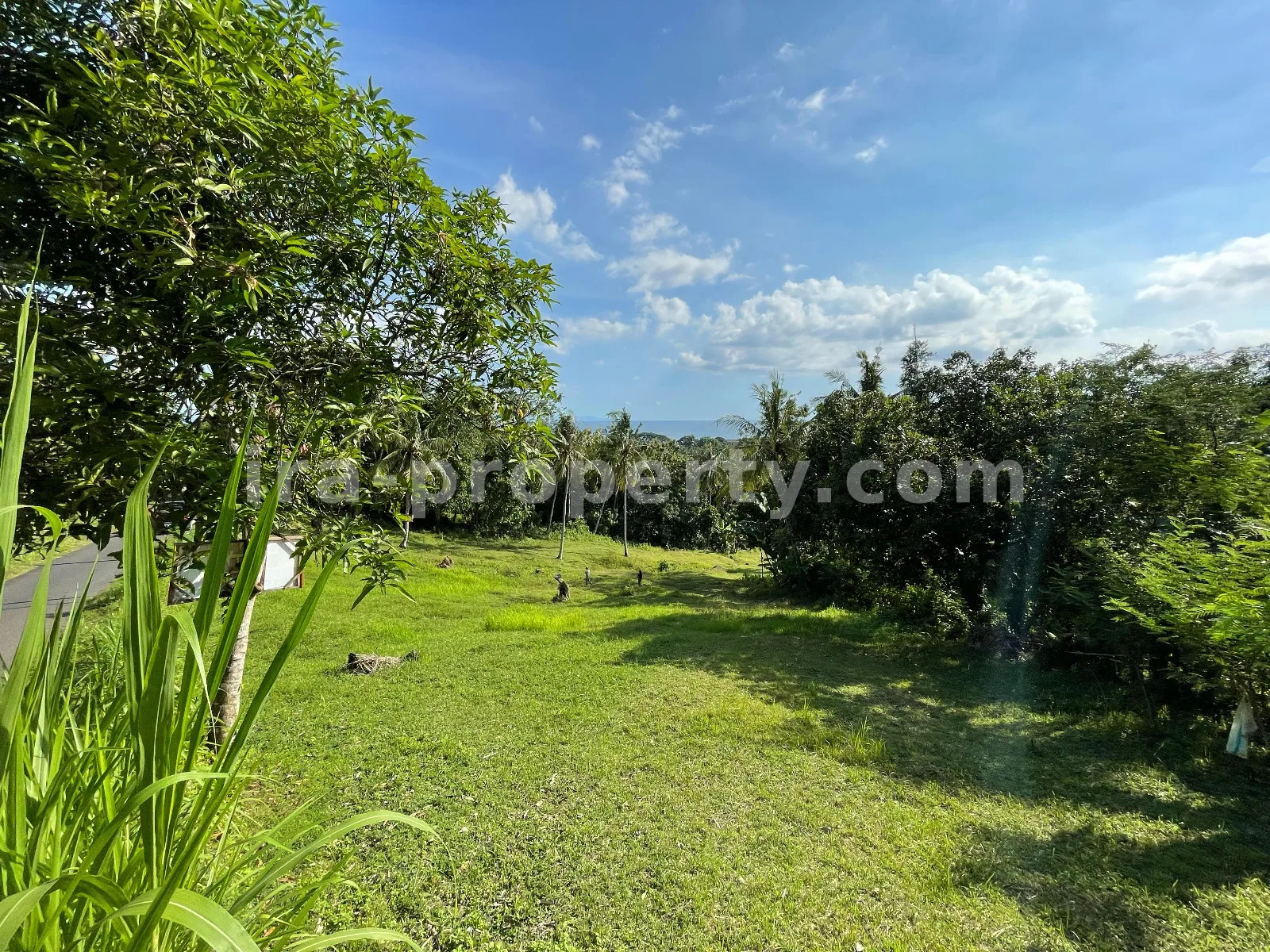 Seaside Land for Sale in Melase, Batu Layar, West Lombok