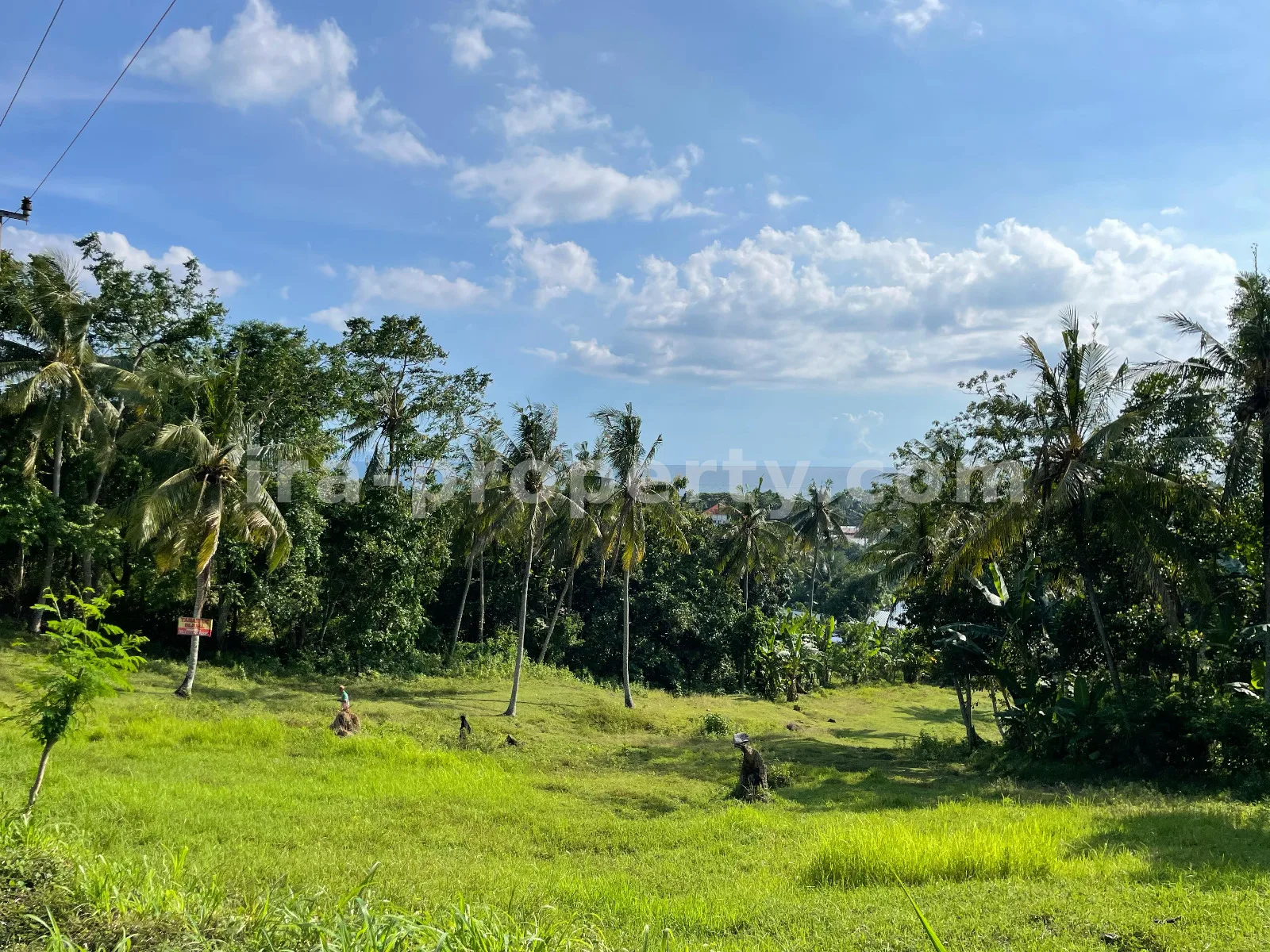Seaside Land for Sale in Melase, Batu Layar, West Lombok