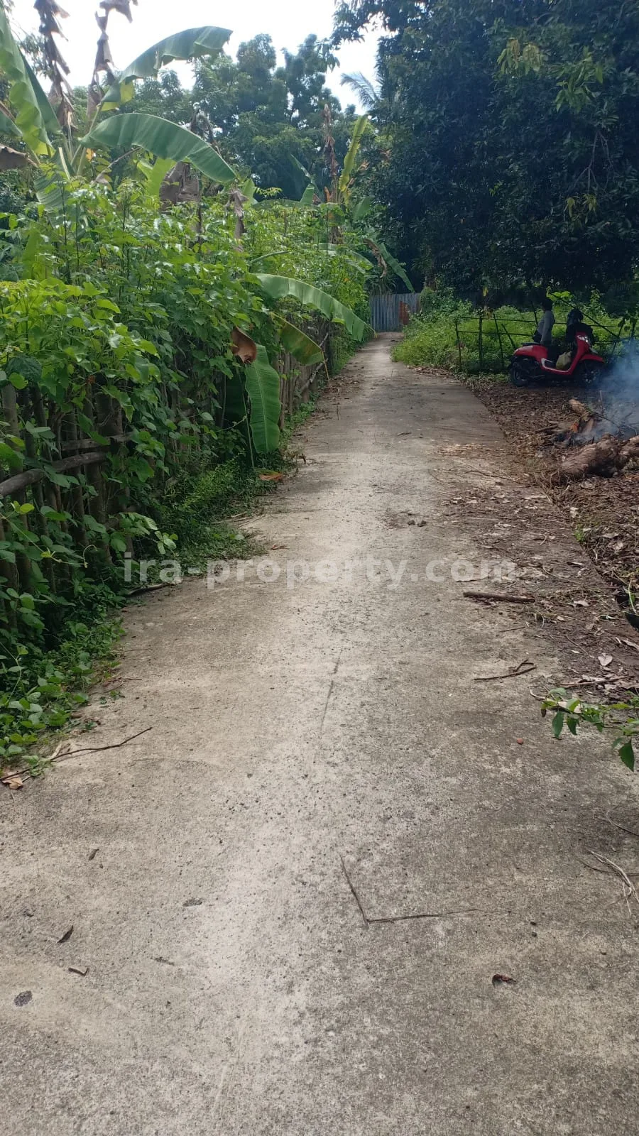 Strategic Land Plot for Sale near North Lombok Police Station