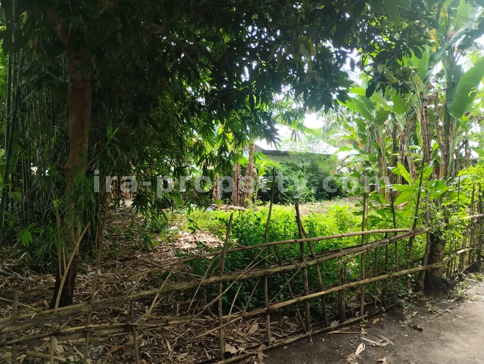Land for Sale in West Lombok