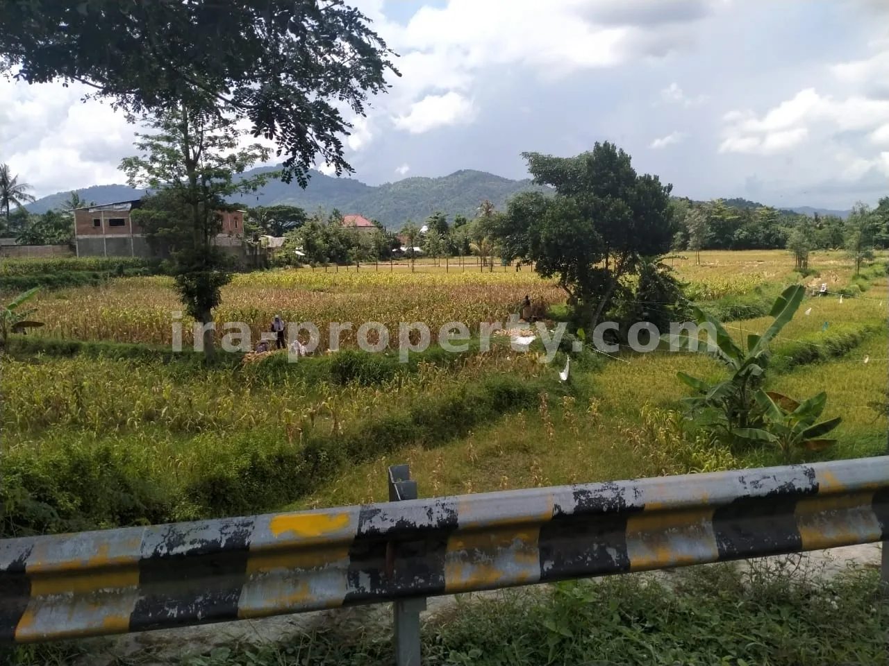 Roadside Land for Sale on Jalan Raya Kuripan, West Lombok