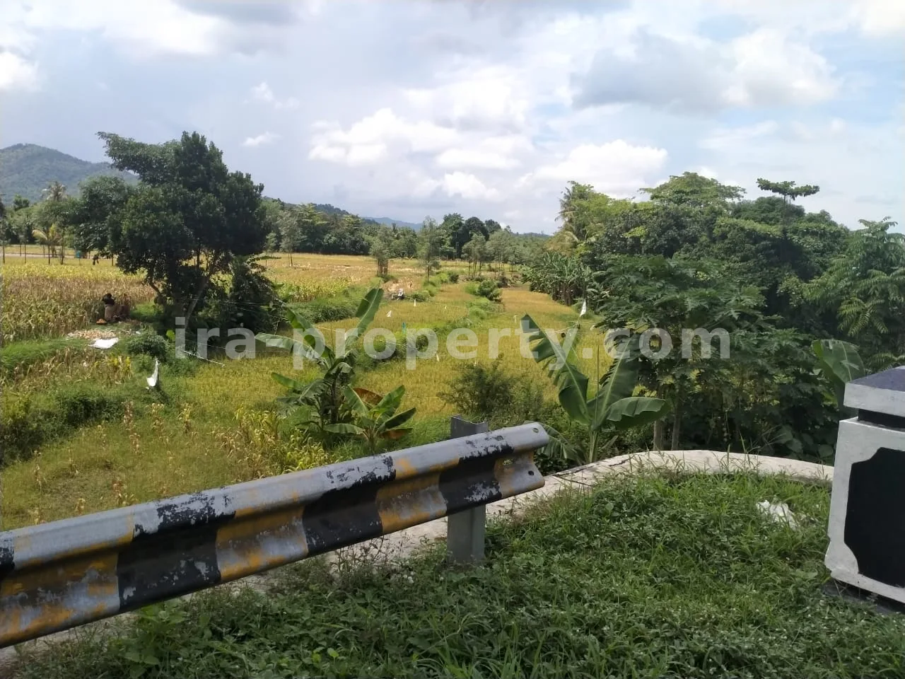 Roadside Land for Sale on Jalan Raya Kuripan, West Lombok