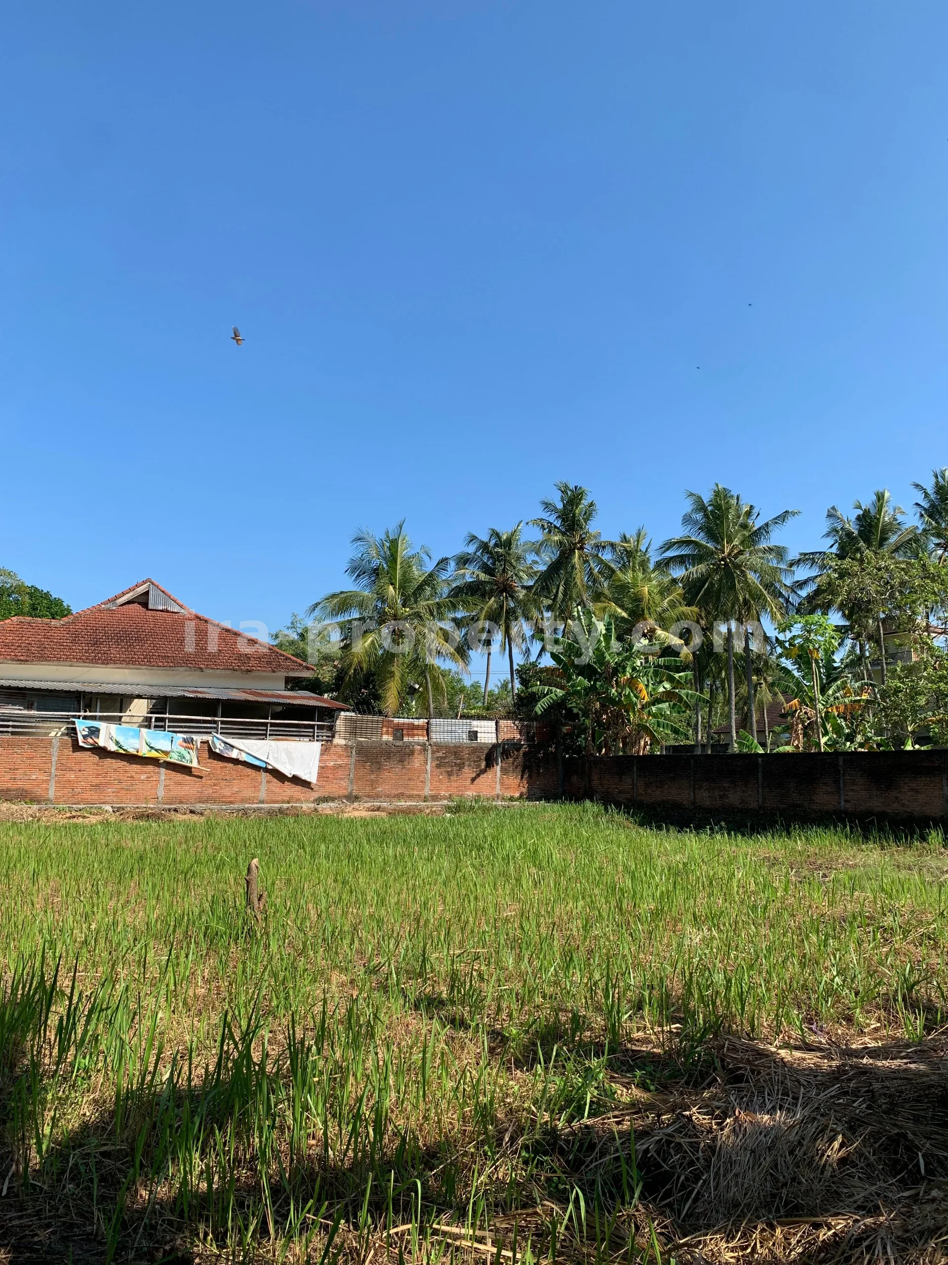 Land for Sale near Jayakarta Hotel, West Lombok
