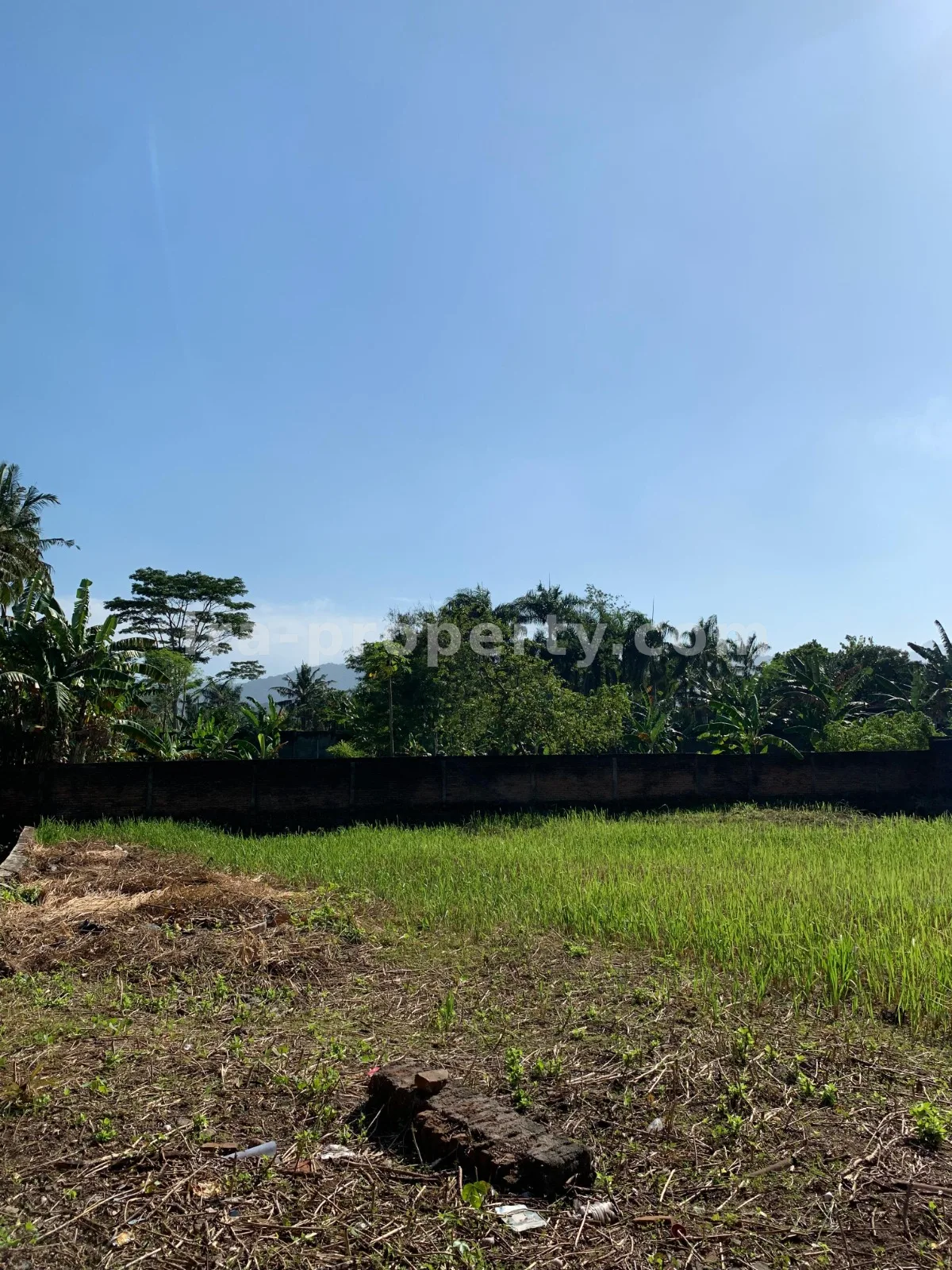 Land for Sale near Jayakarta Hotel, West Lombok
