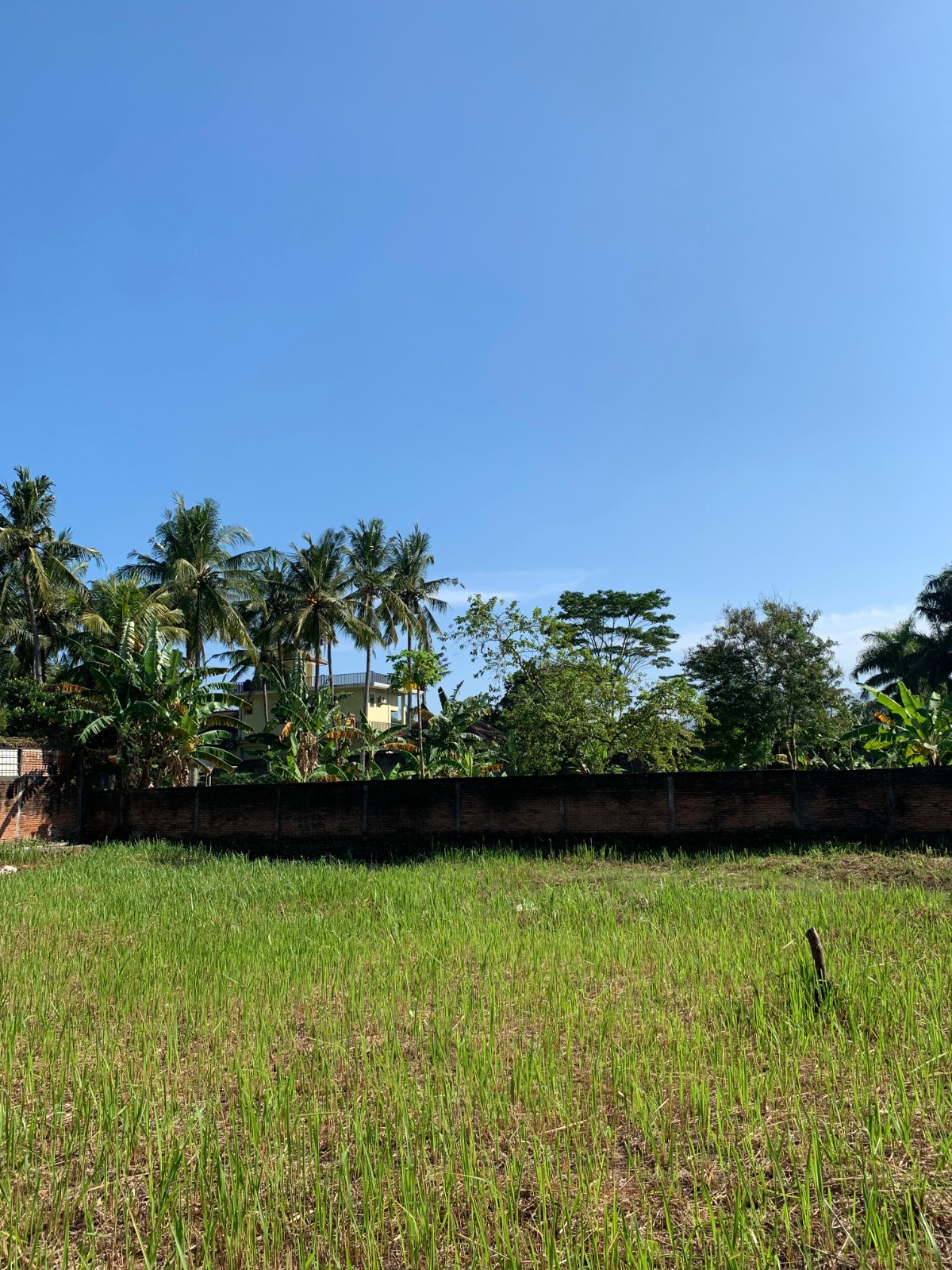 Land for Sale near Jayakarta Hotel, West Lombok