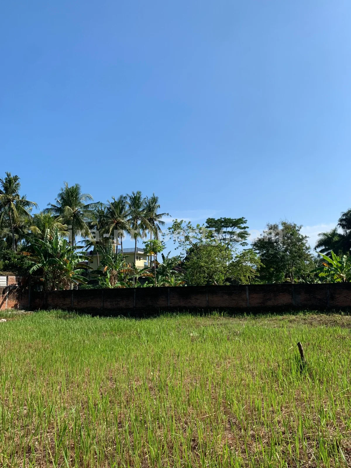 Land for Sale near Jayakarta Hotel, West Lombok