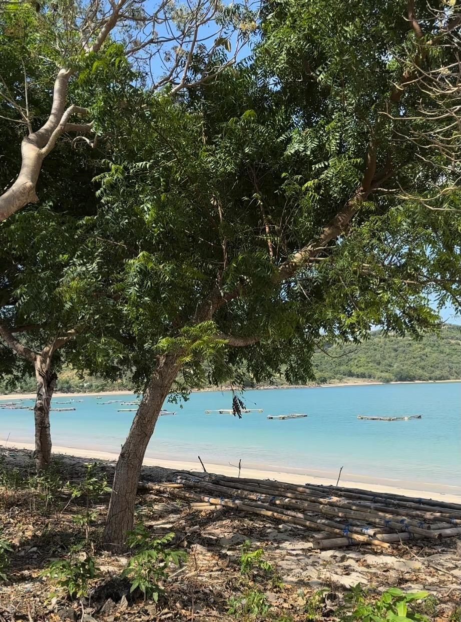 Beachfront Land for Sale in Bumbang – Near Kuta Mandalika