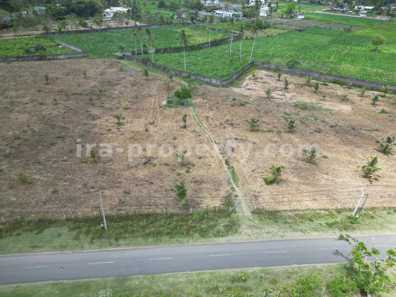 Land for Sale in Selong Belanak – Near Kuta Mandalika