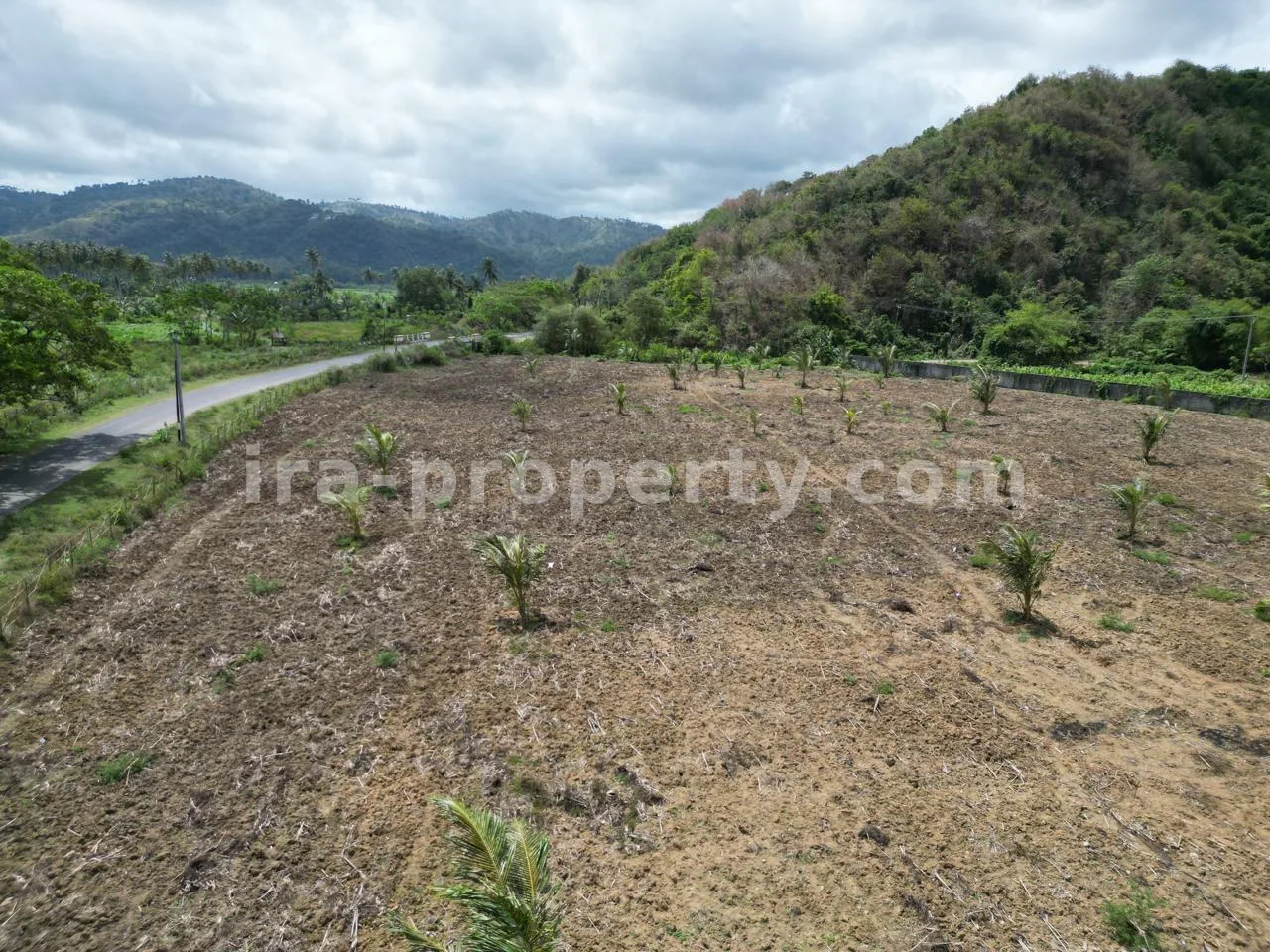 Land for Sale in Selong Belanak – Near Kuta Mandalika