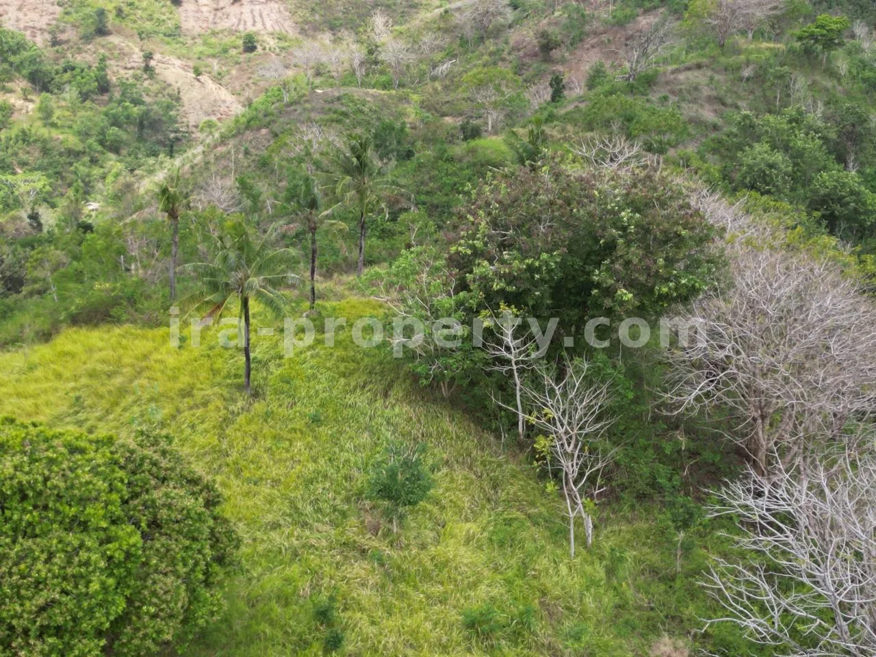 Ocean View Land for Sale in Selong Belanak near Kuta Mandalika