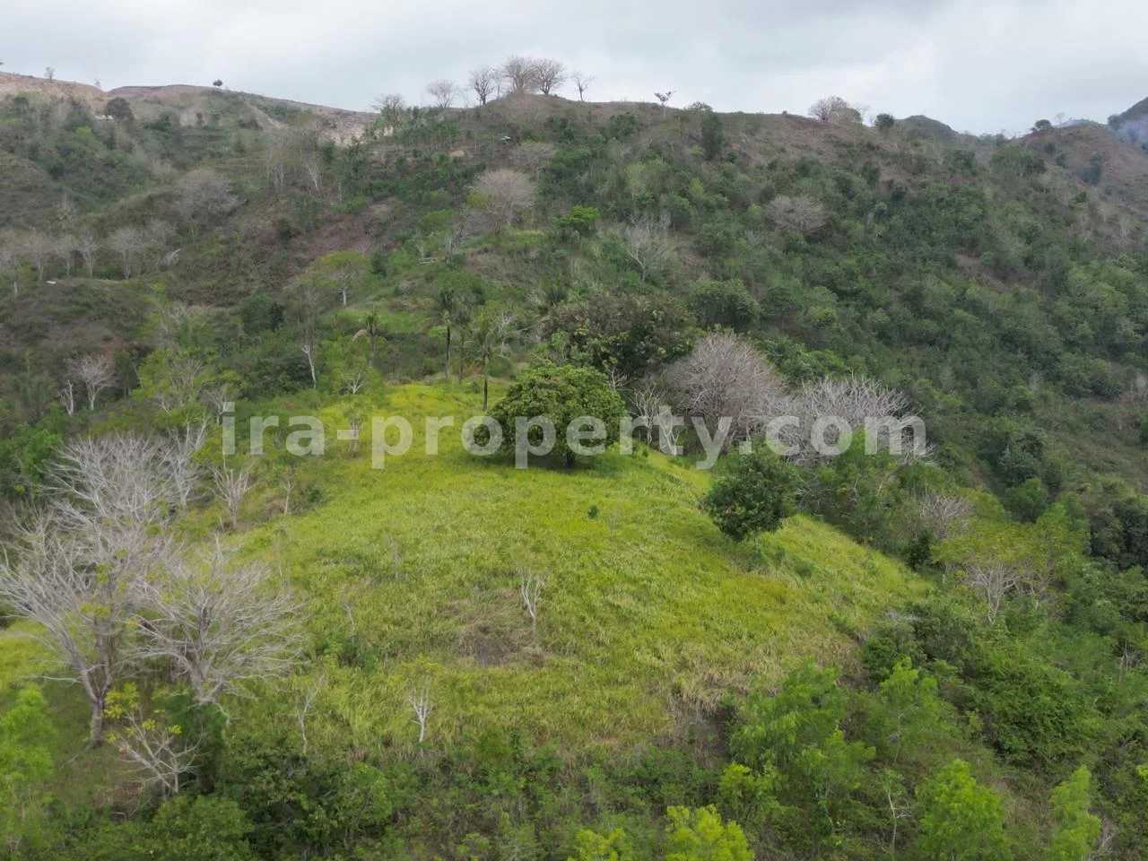 Ocean View Land for Sale in Selong Belanak near Kuta Mandalika