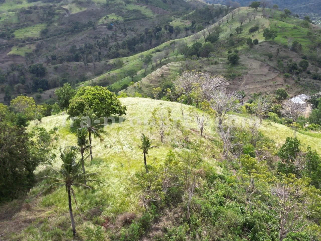 Ocean View Land for Sale in Selong Belanak near Kuta Mandalika