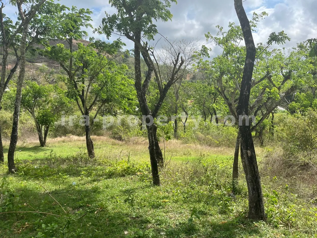 Land for Sale on Areguling Road to Selong Belanak – Near Kuta Mandalika