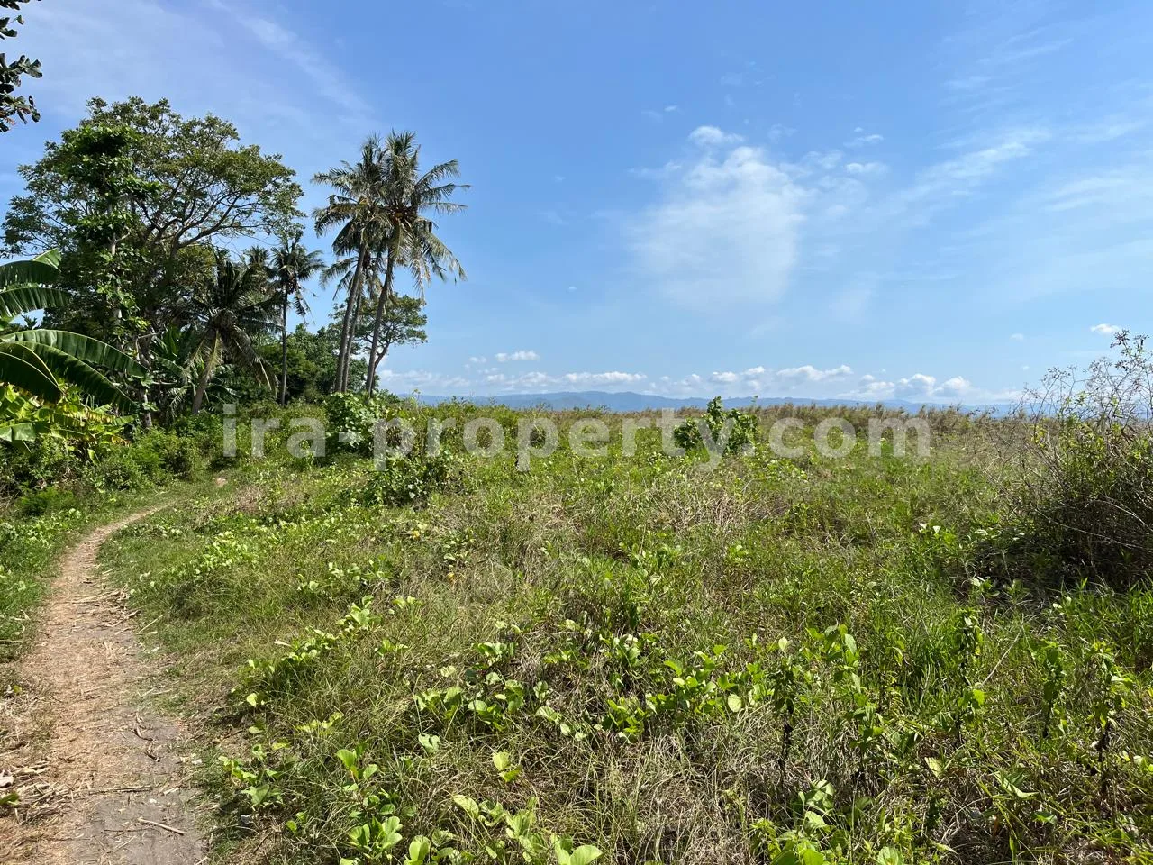 Affordable Beachfront Land for Sale in Kuranji, West Lombok