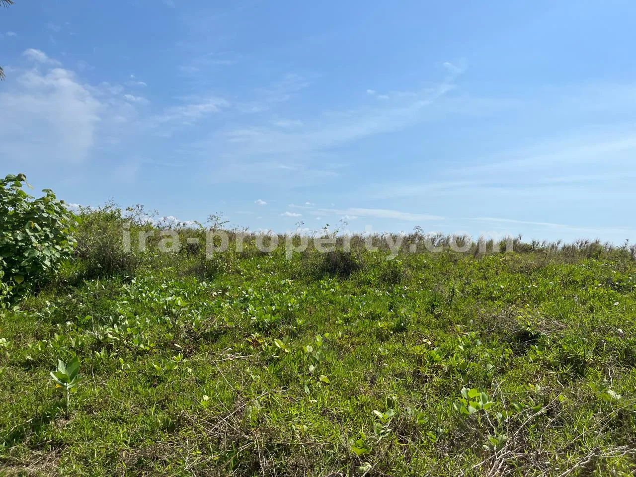 Affordable Beachfront Land for Sale in Kuranji, West Lombok