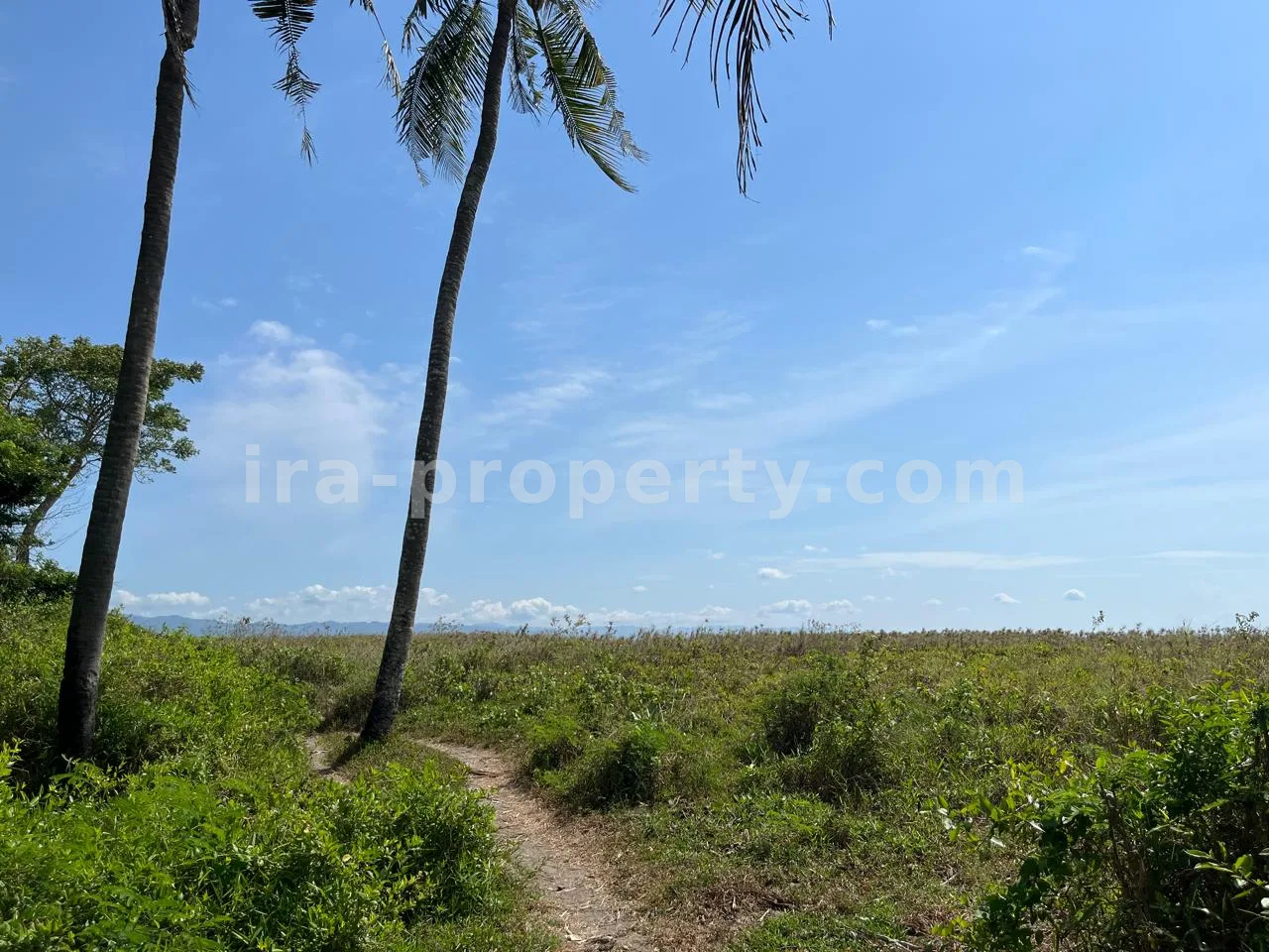 Affordable Beachfront Land for Sale in Kuranji, West Lombok