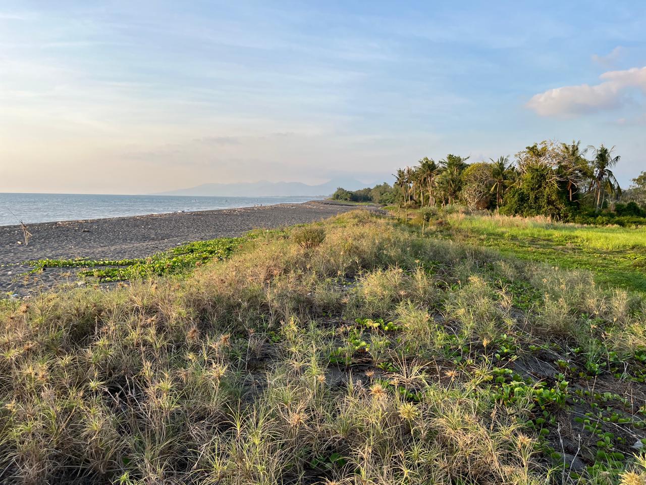 Affordable Beachfront Land for Sale in Kuranji, West Lombok
