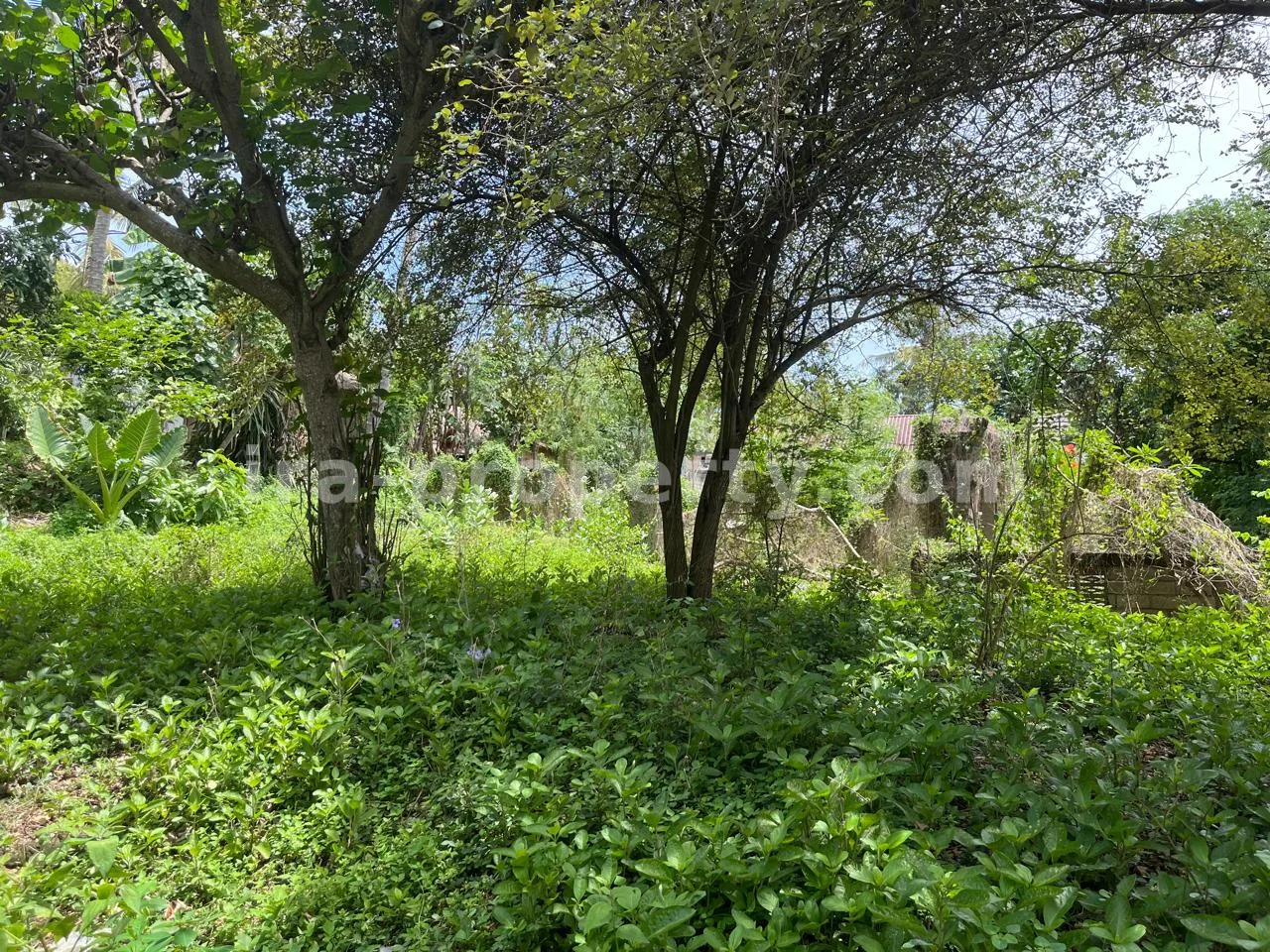 Affordable Land Plot for Sale in Central Kuta Mandalika