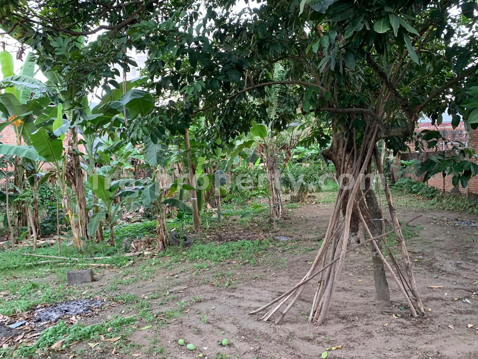 Roadside Land for Sale Near Same Hotel Rembiga, Mataram