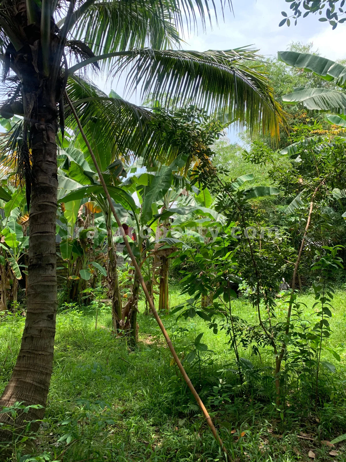 Roadside Land for Sale Near Same Hotel Rembiga, Mataram