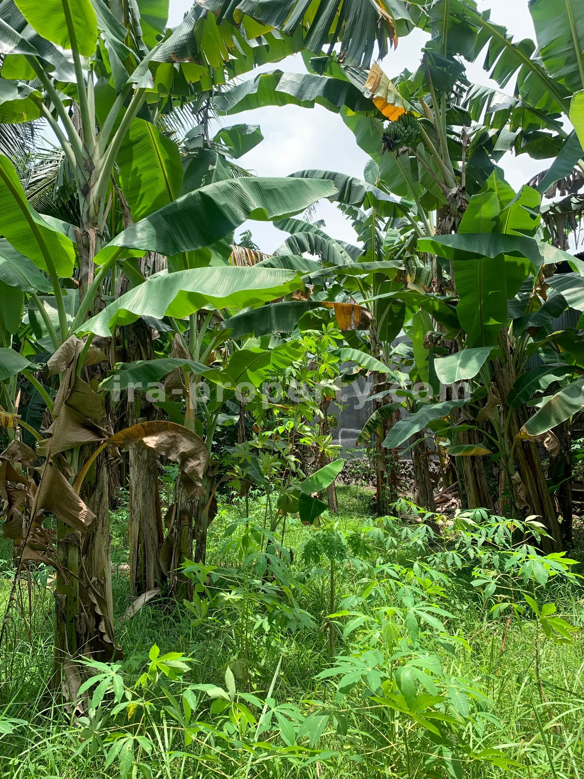 Roadside Land for Sale Near Same Hotel Rembiga, Mataram
