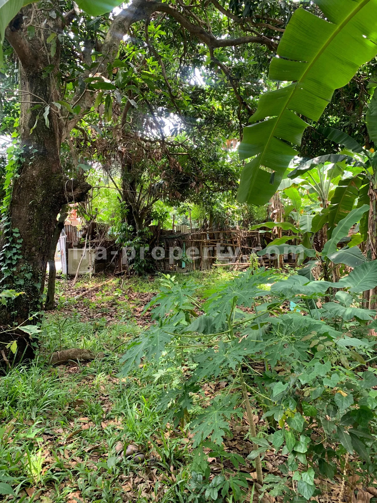 Roadside Land for Sale Near Same Hotel Rembiga, Mataram