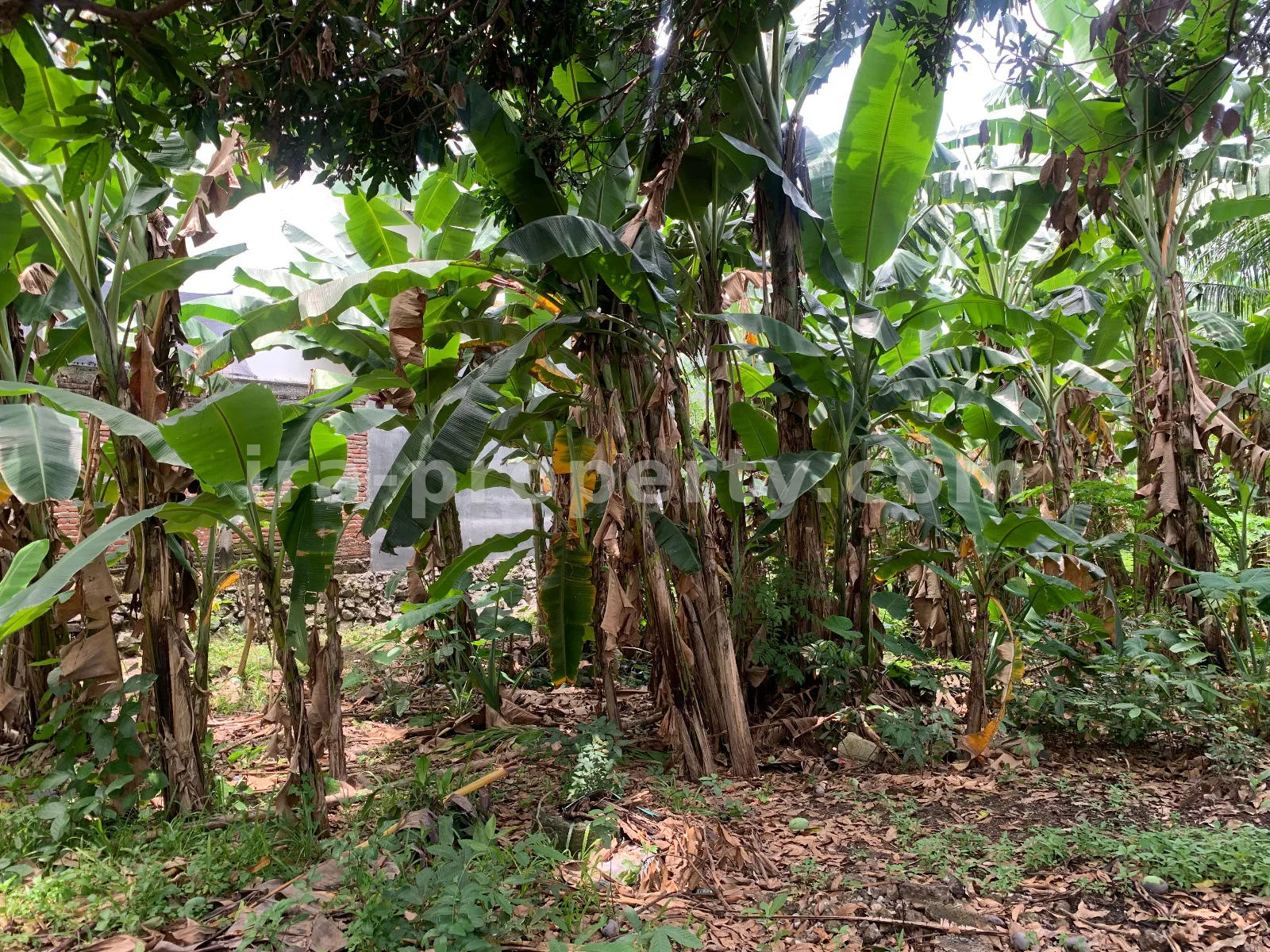 Roadside Land for Sale Near Same Hotel Rembiga, Mataram