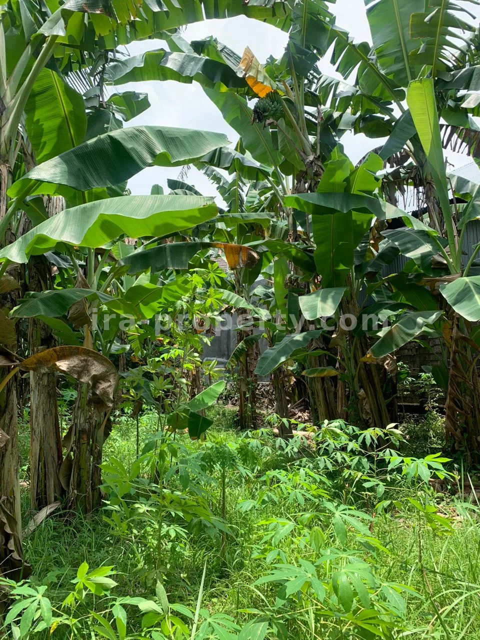 Roadside Land for Sale Near Same Hotel Rembiga, Mataram