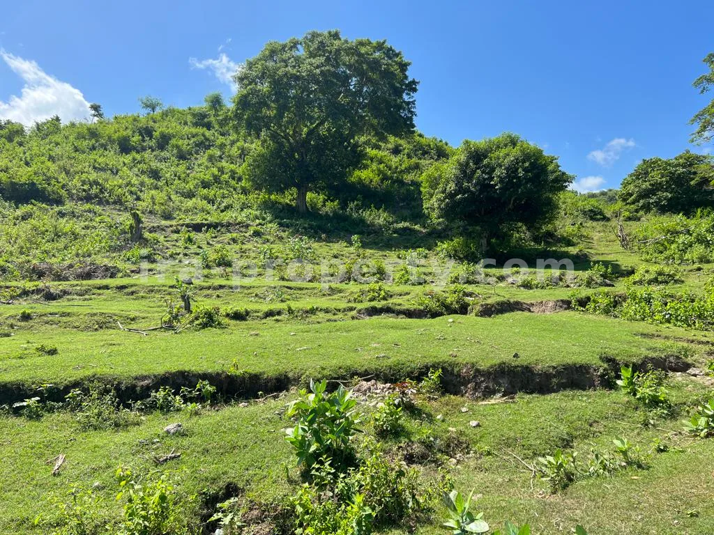 Hillside Land with Stunning Ocean View in Pengantap, Buwun Mas, West Lombok