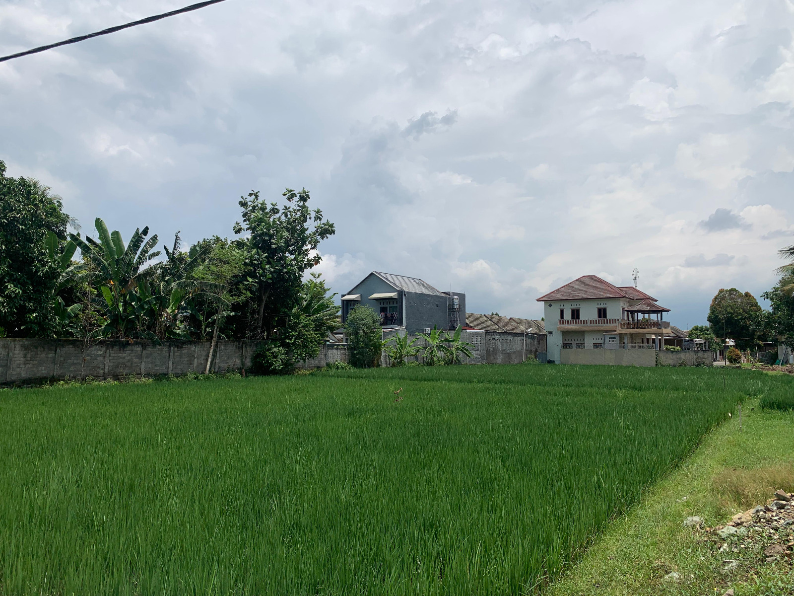 Roadside Land for Sale in Lingkar Selatan, Mataram
