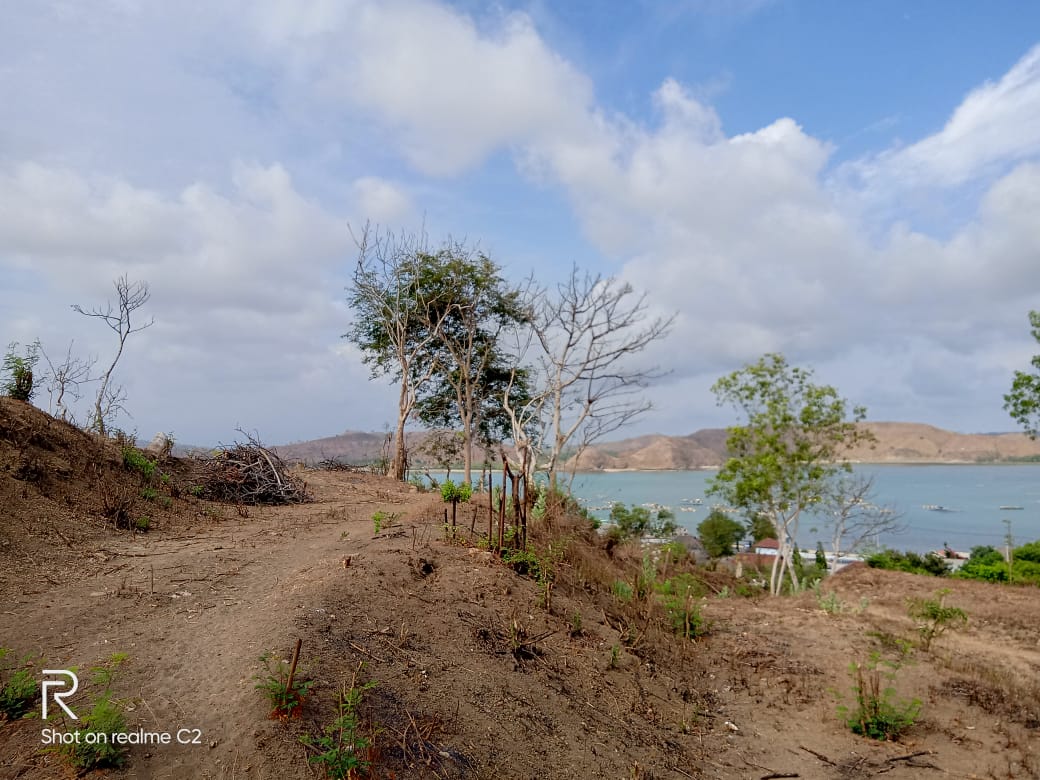 Hillside Ocean-View Land in Gerupuk – Near Mandalika Project