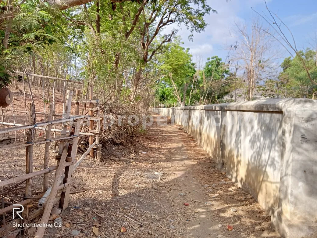 Hillside Ocean-View Land in Gerupuk – Near Mandalika Project