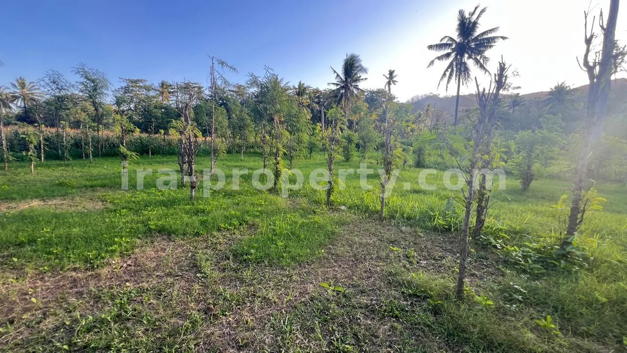 Ocean-View Land Plots in Prabu Areguling near Kuta Mandalika