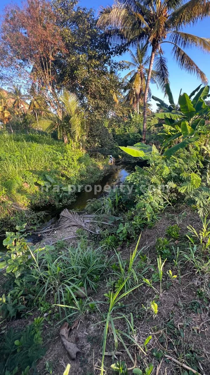 Ocean-View Land Plots in Prabu Areguling near Kuta Mandalika