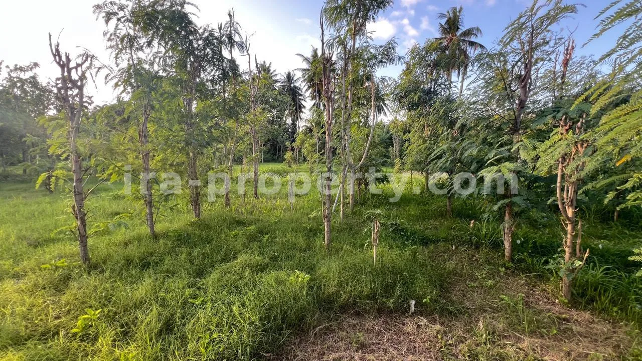 Ocean-View Land Plots in Prabu Areguling near Kuta Mandalika