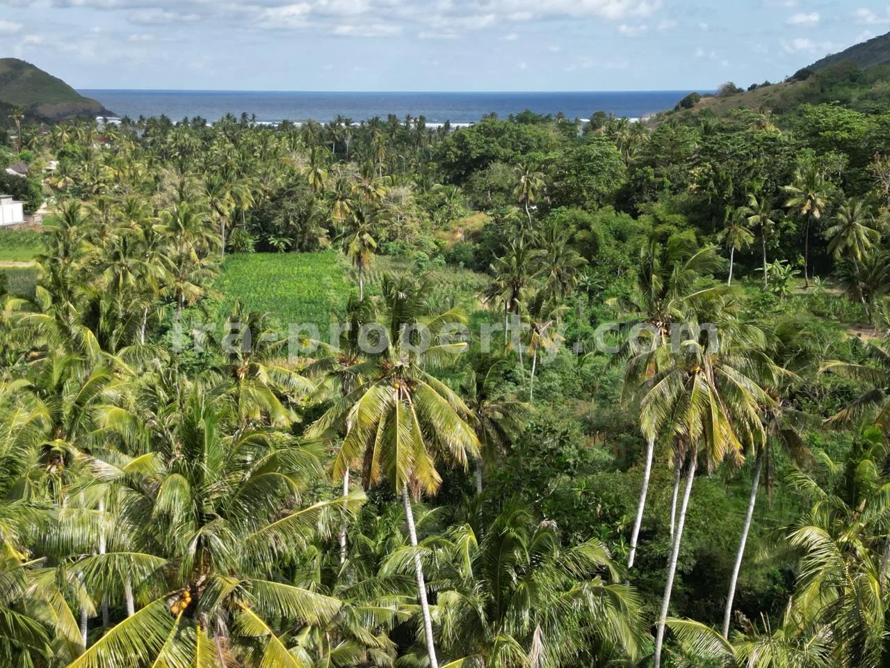 Ocean-View Land Plots in Prabu Areguling near Kuta Mandalika