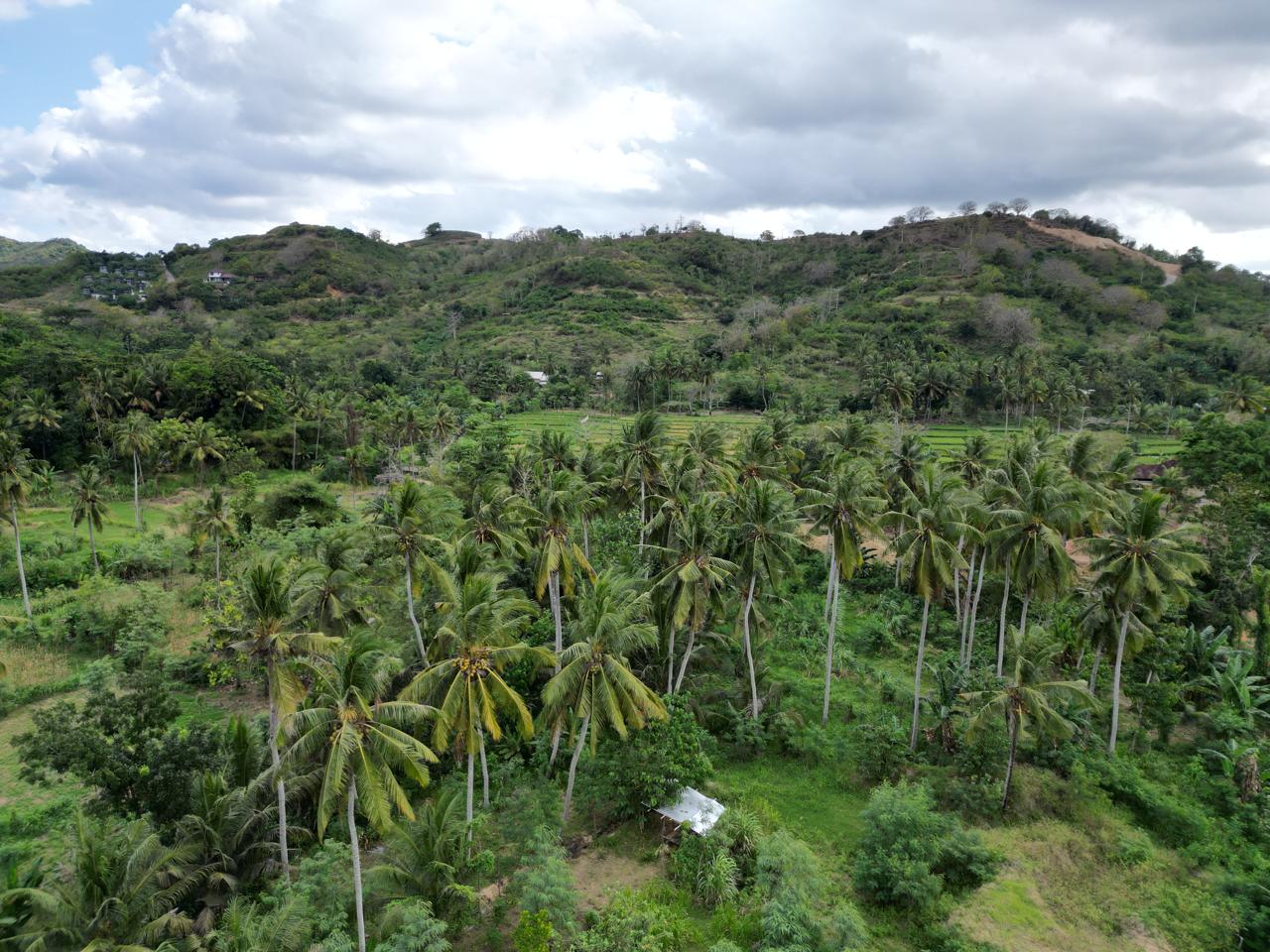 Ocean-View Land Plots in Prabu Areguling near Kuta Mandalika