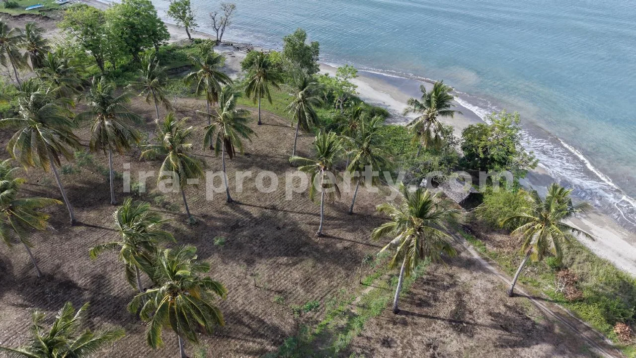 Beachfront Land for Sale in Batu Putih, Sekotong