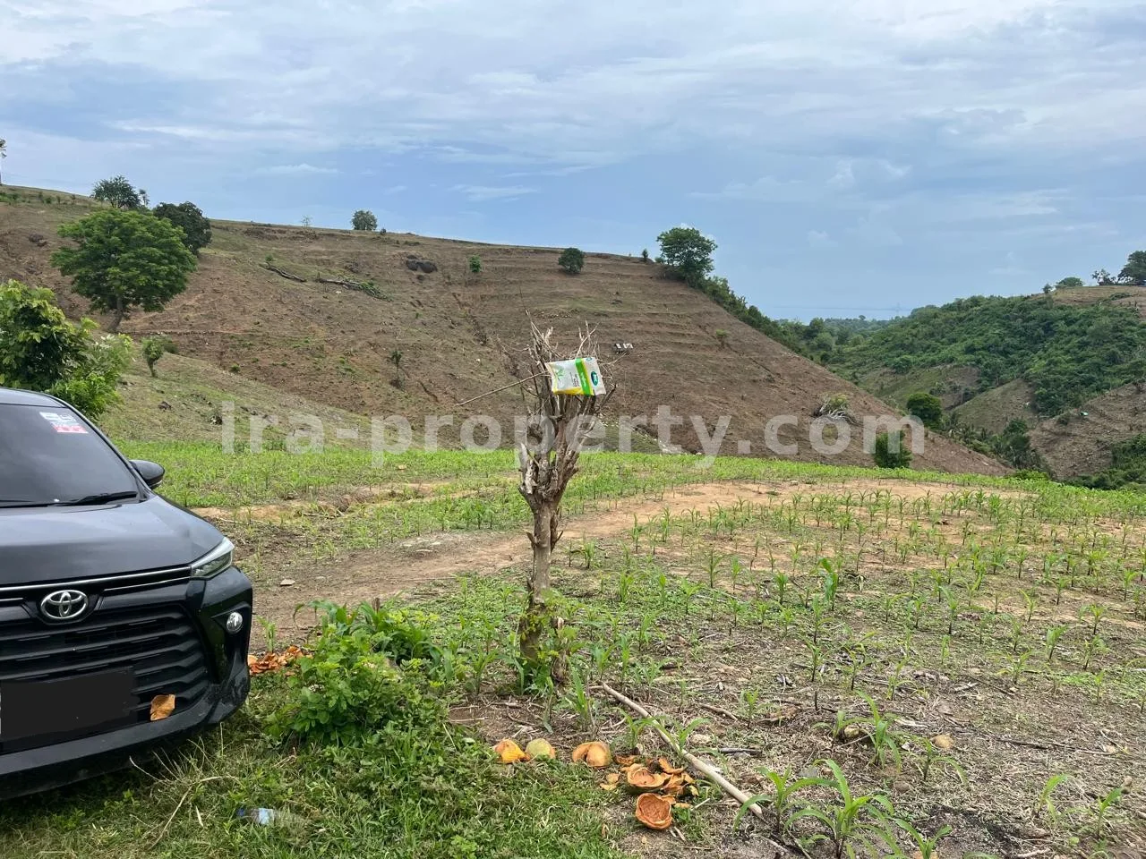 Ocean View Land Near Sundancer, Sekotong – Ideal for Hotel & Villa Development