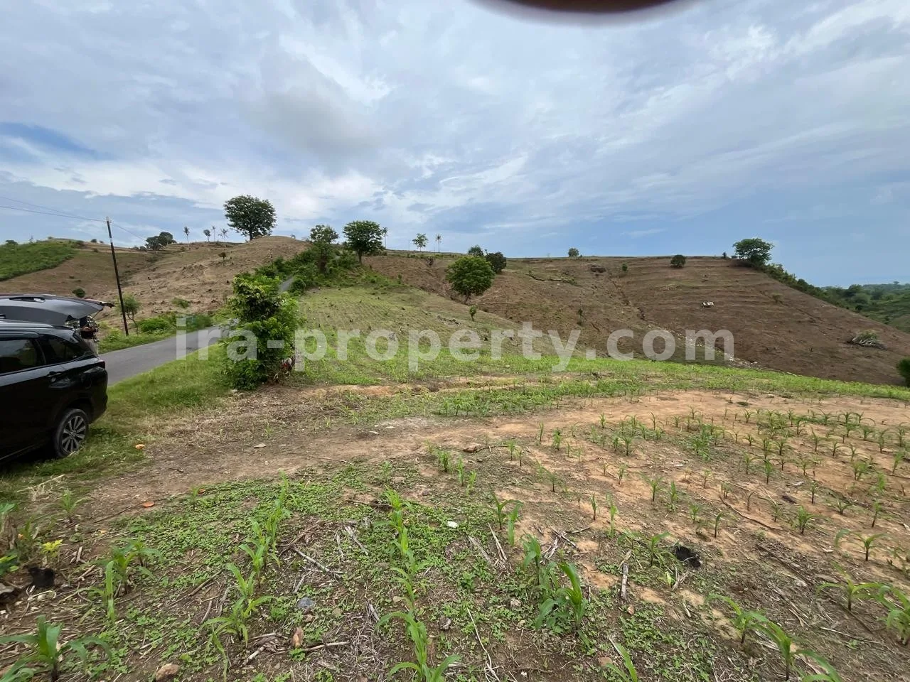 Ocean View Land Near Sundancer, Sekotong – Ideal for Hotel & Villa Development