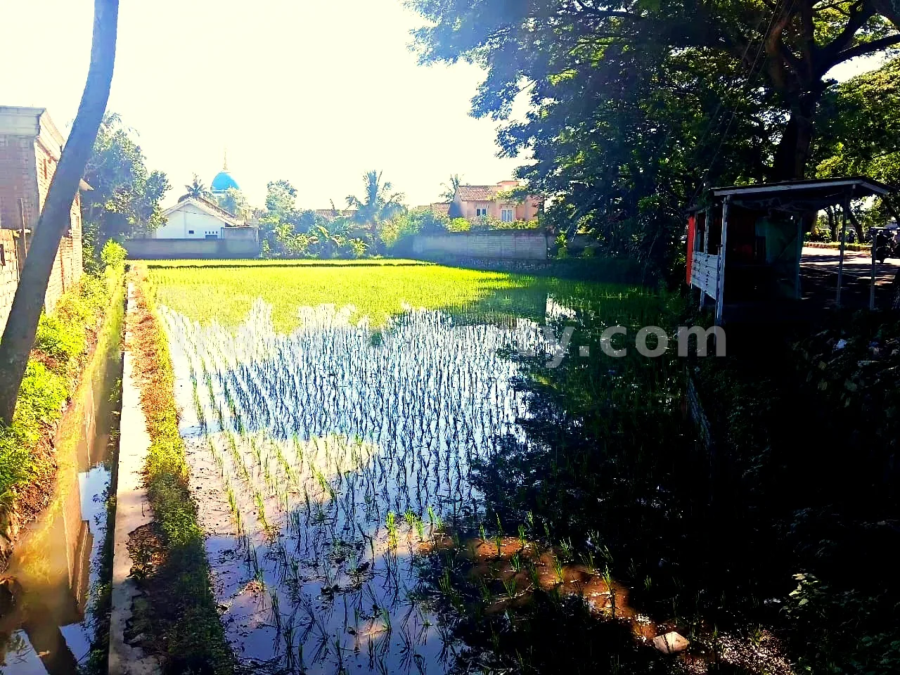 Prime Roadside Land on Kuripan Bypass – Direct Access to Lombok International Airport