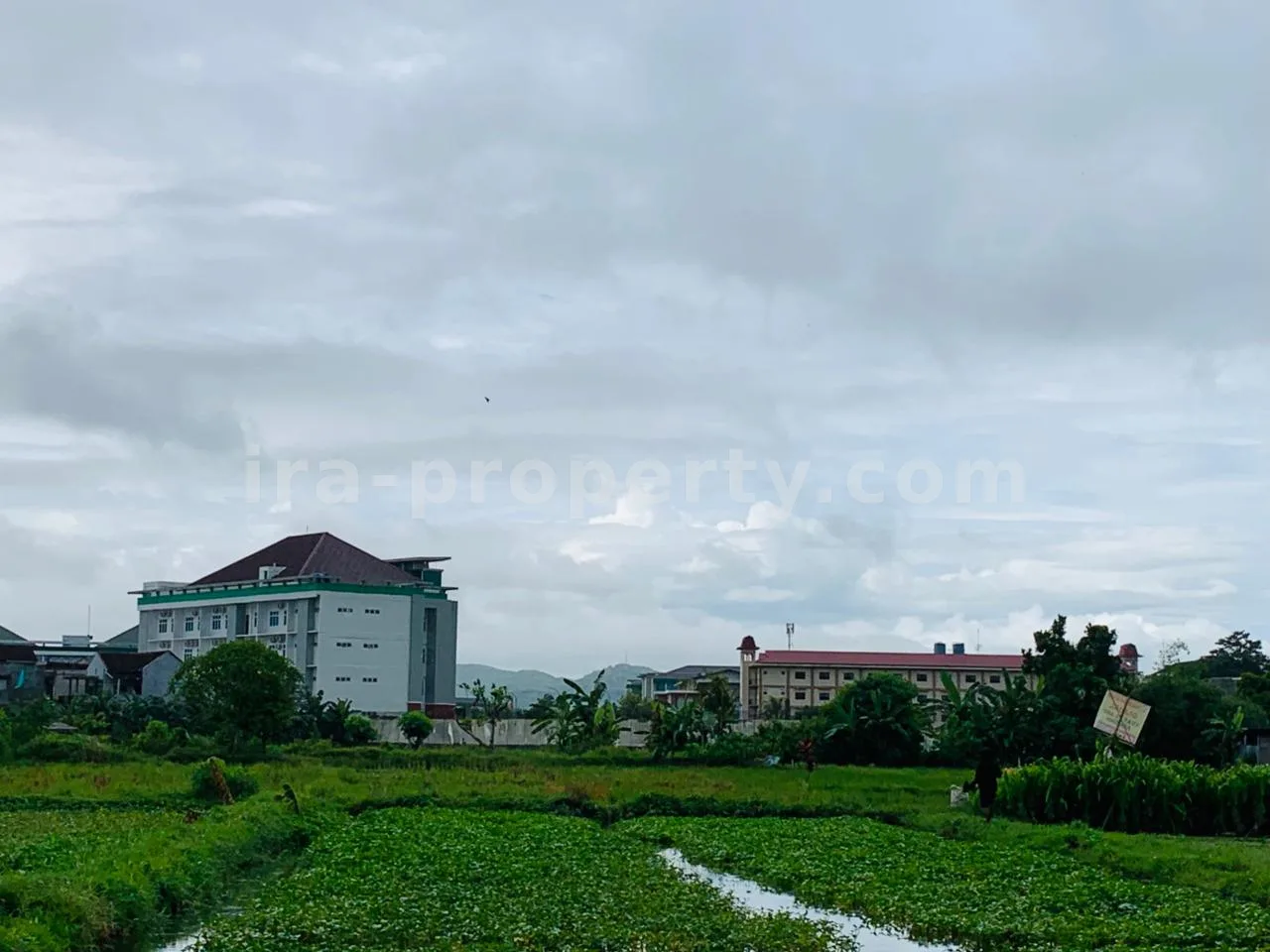 Strategic Land Near Muhammadiyah University – Pagesangan, Mataram