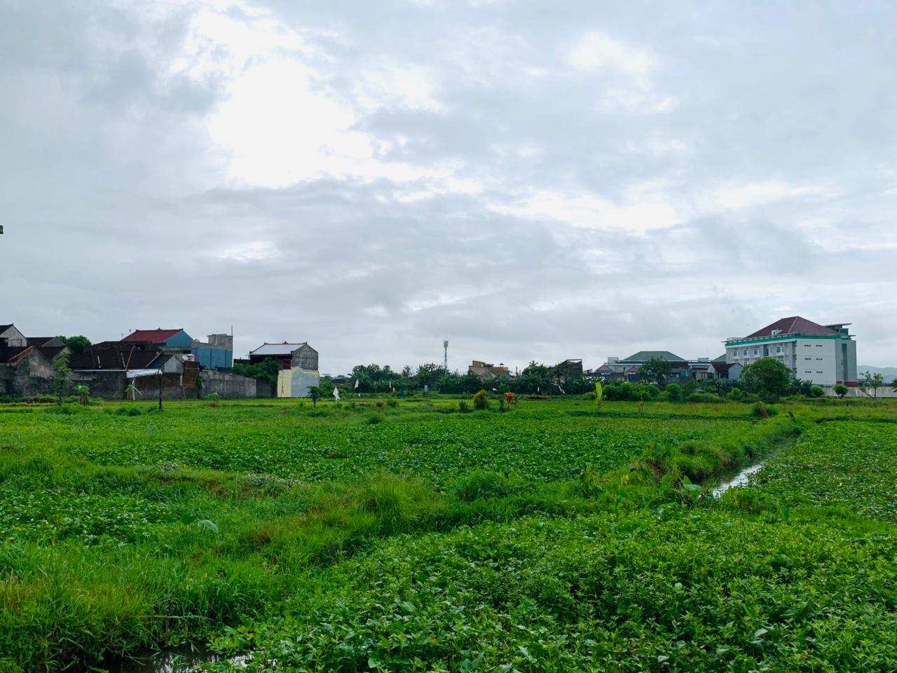 Strategic Land Near Muhammadiyah University – Pagesangan, Mataram
