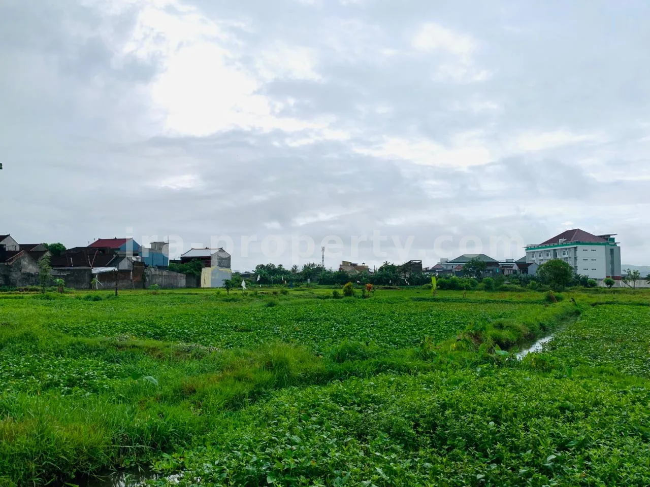 Strategic Land Near Muhammadiyah University – Pagesangan, Mataram